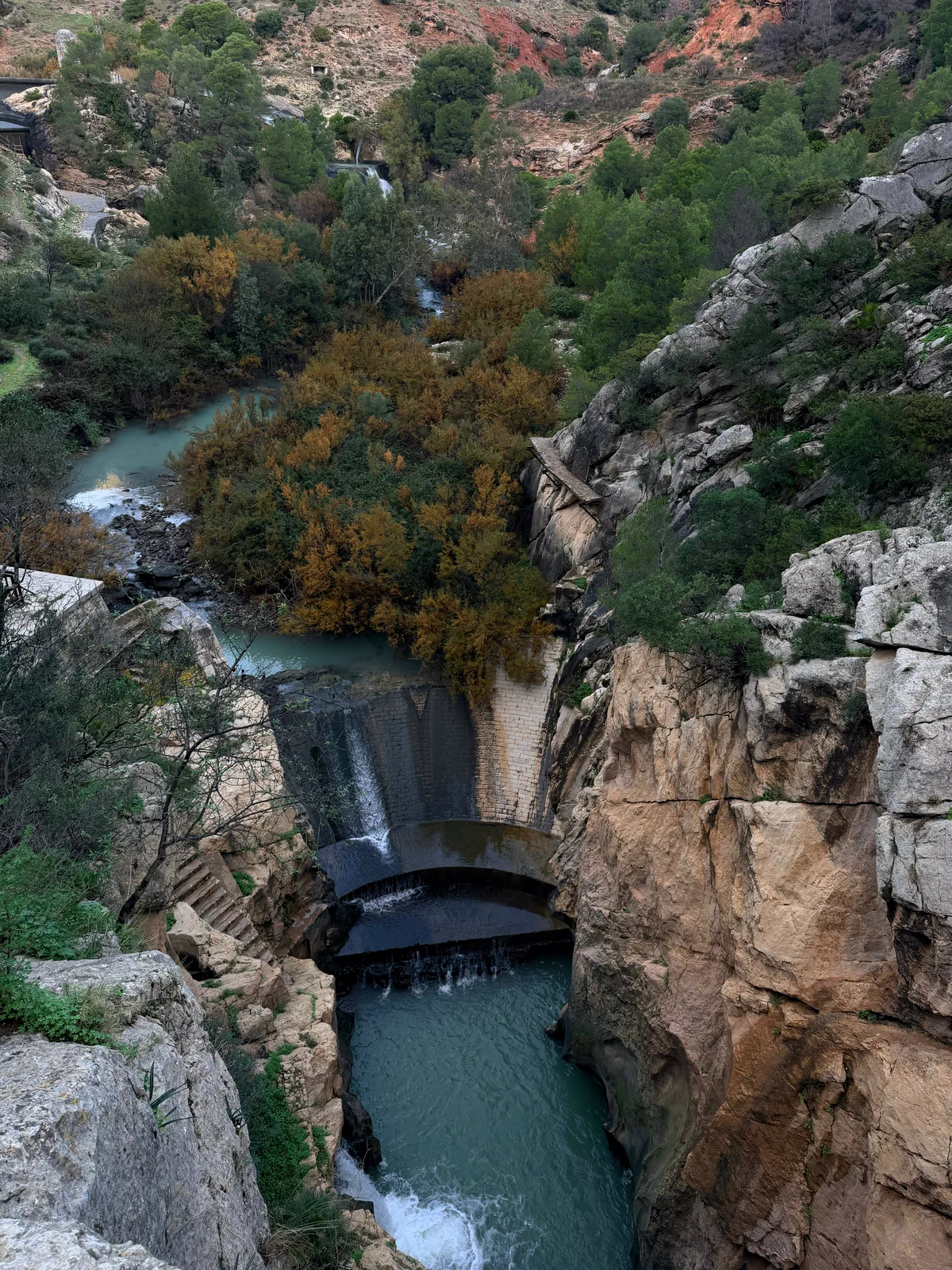 Río encajado entre la vegetación y las paredes del desfiladero