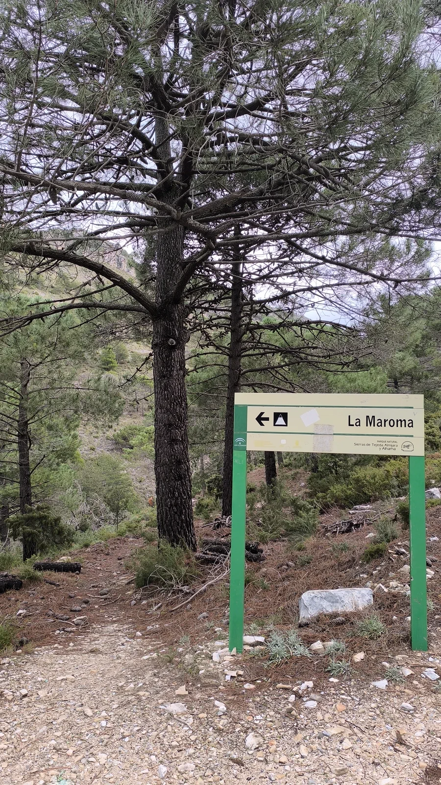 Señal del sendero hacia La Maroma entre el pinar