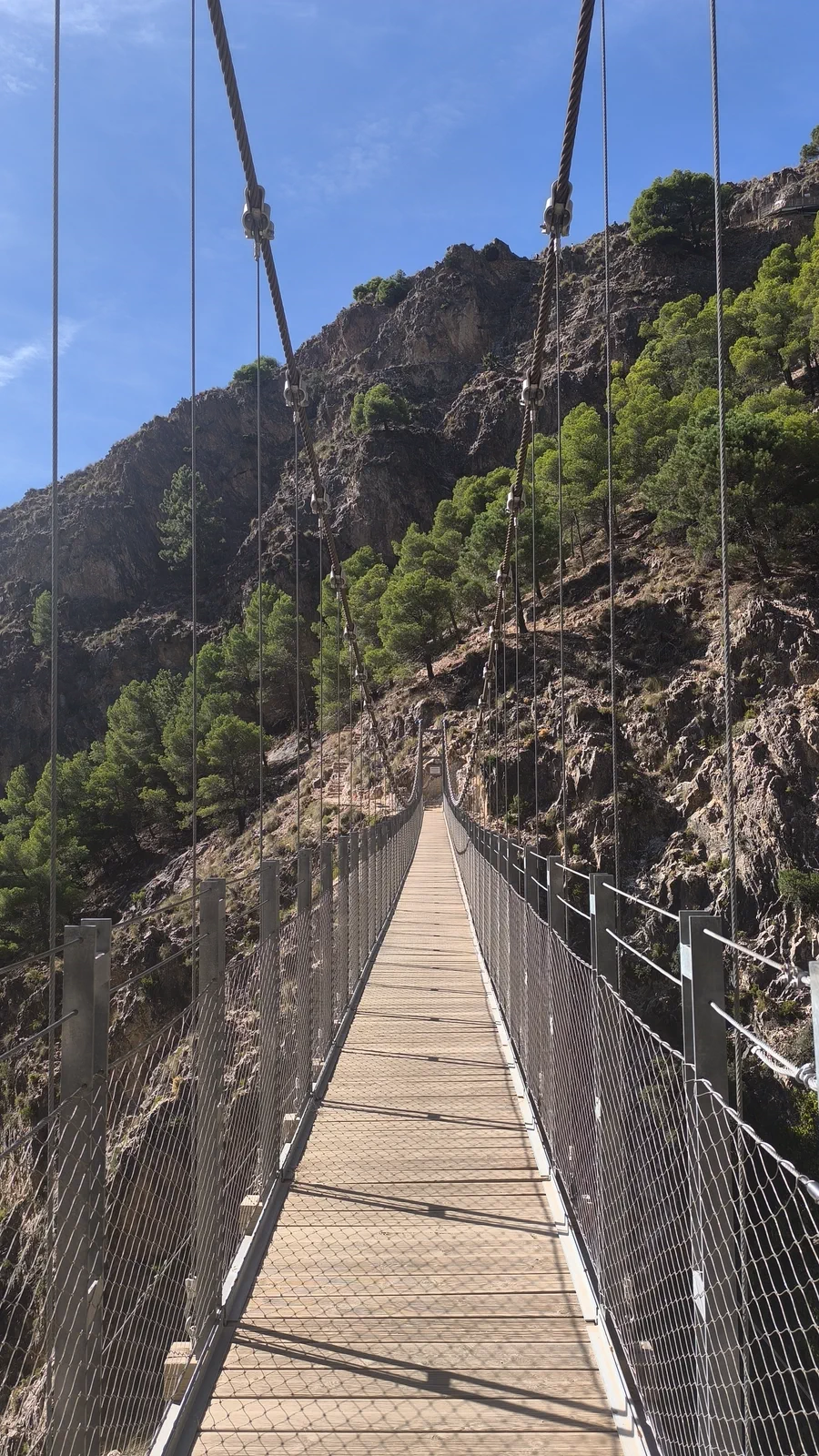 Vista durante el cruce del puente colgante del Saltillo
