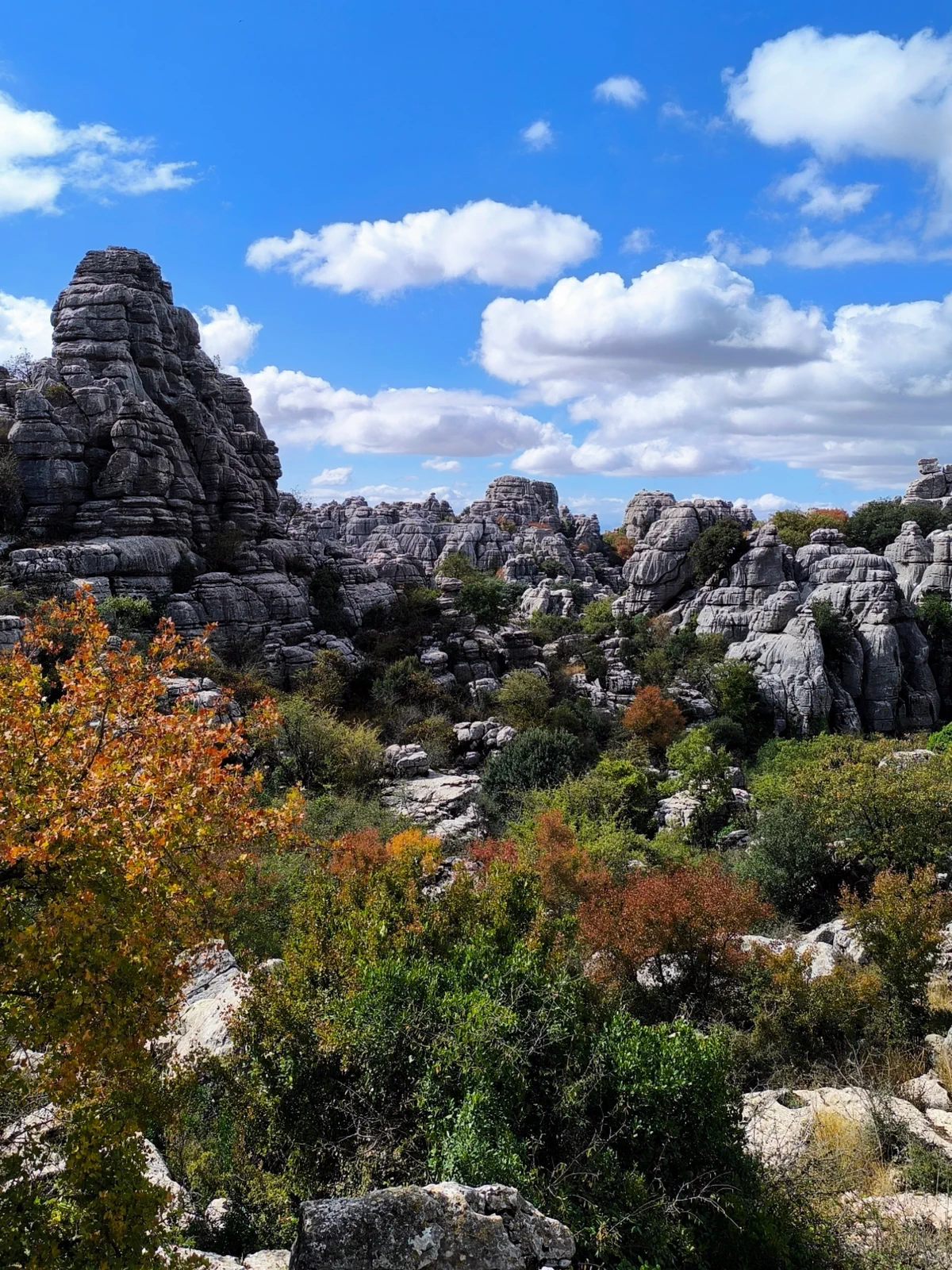Formaciones calizas del Torcal entre vegetación de otoño