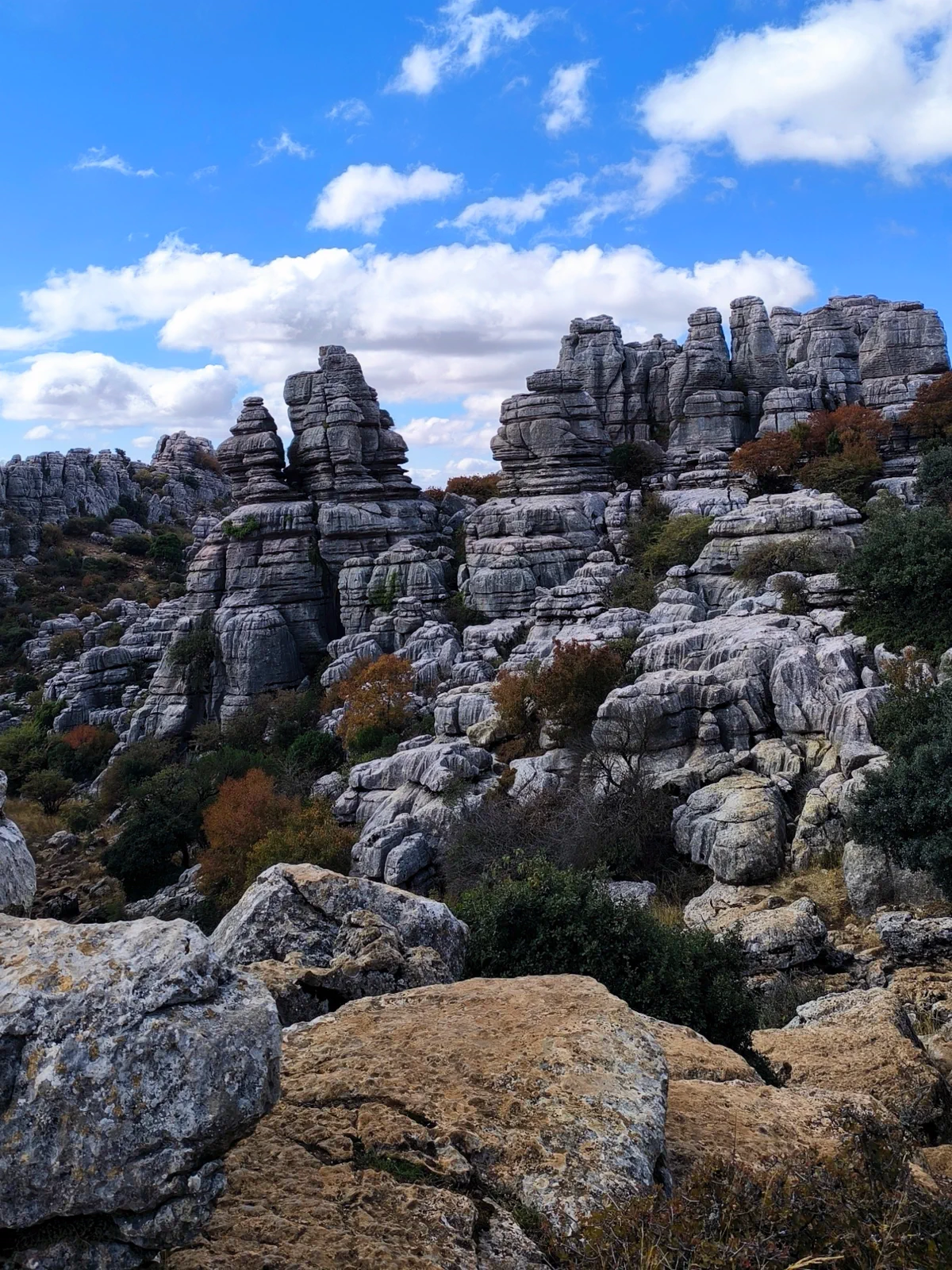 Laberinto de torres y bloques calizos en el Torcal