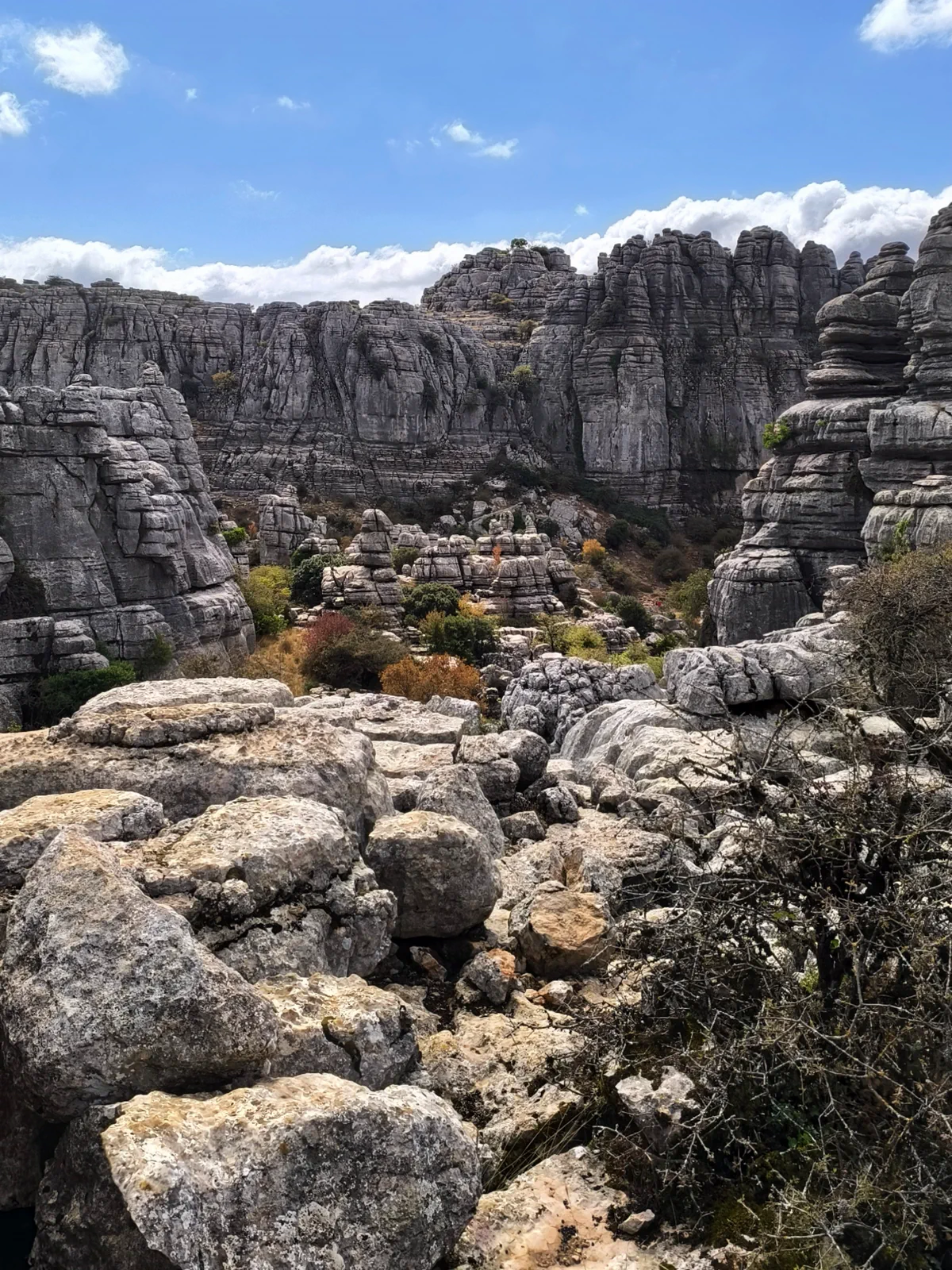 Paisaje rocoso de formas redondeadas y estratificadas